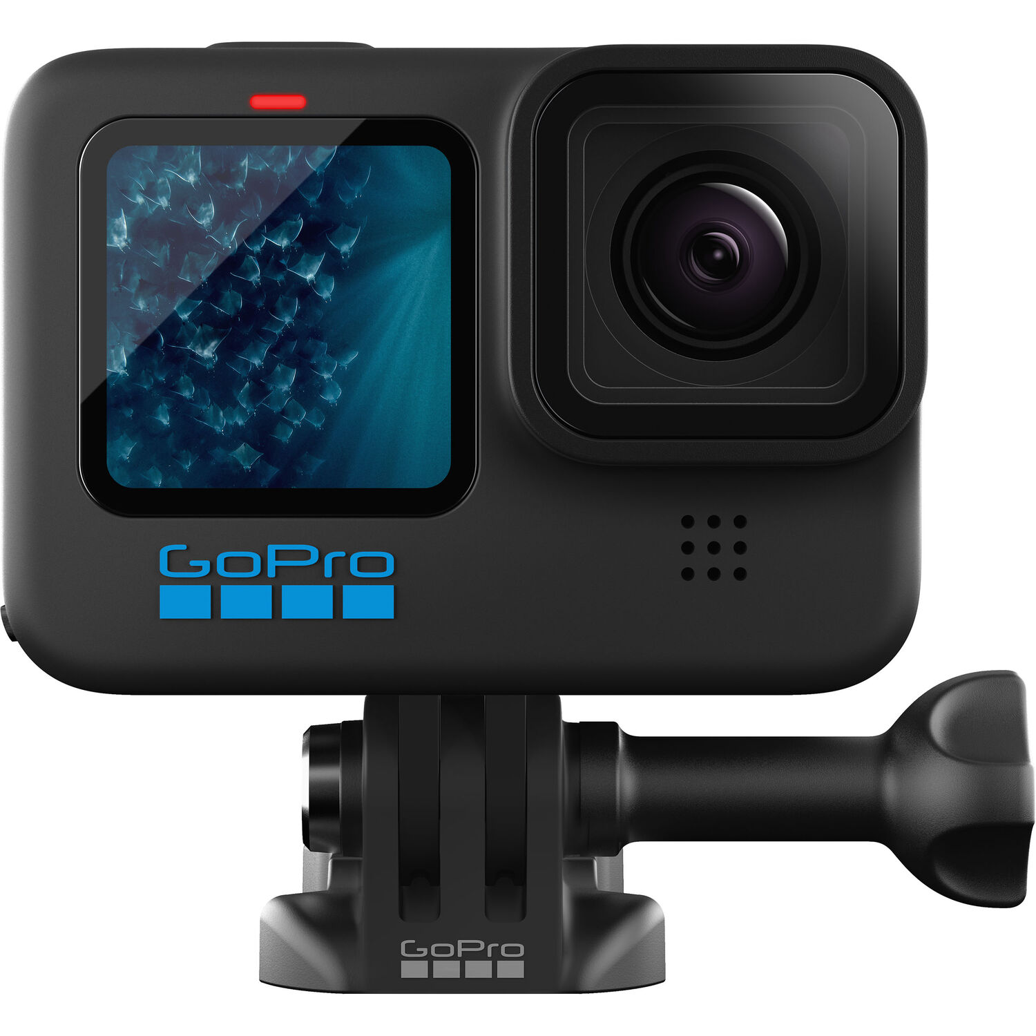 Does the GoPro Hero11 Black have RAW support?
